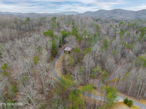 Tiny photo for 3830 Katelyns Lane, Sevierville, TN 37876 (MLS # 1330102)