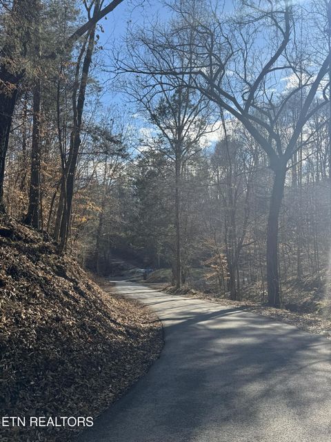Tiny photo for Molly Hollow Rd, New Tazewell, TN 37825 (MLS # 1327380)