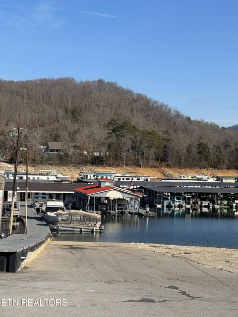 Tiny photo for Molly Hollow Rd, New Tazewell, TN 37825 (MLS # 1327380)
