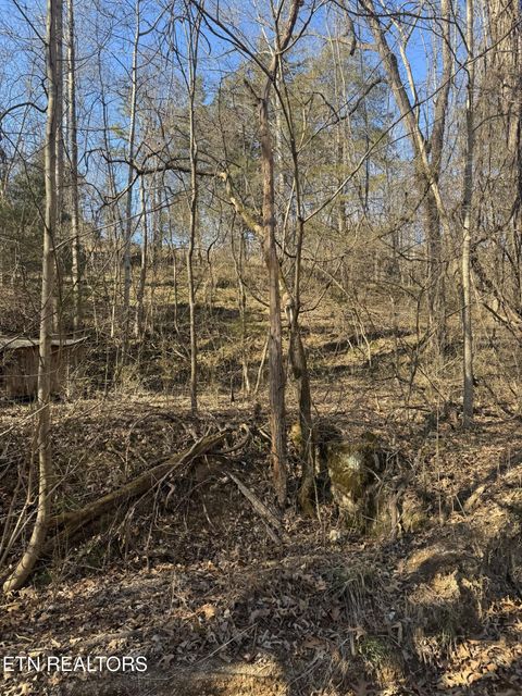 Tiny photo for Molly Hollow Rd, New Tazewell, TN 37825 (MLS # 1327380)
