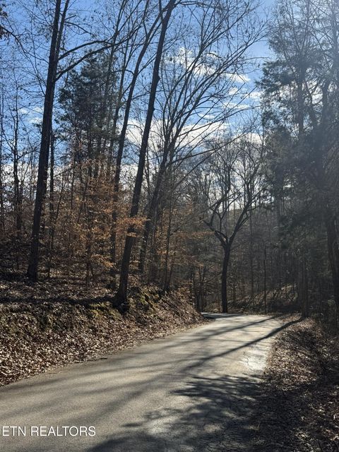 Tiny photo for Molly Hollow Rd, New Tazewell, TN 37825 (MLS # 1327380)