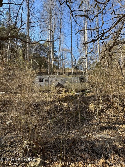 Tiny photo for Molly Hollow Rd, New Tazewell, TN 37825 (MLS # 1327380)