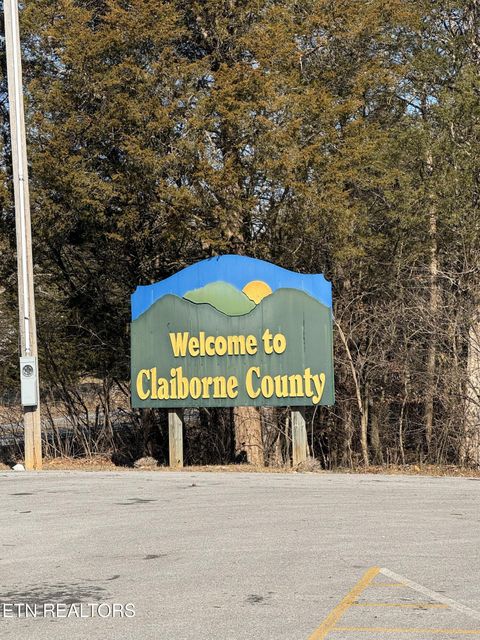 Tiny photo for Molly Hollow Rd, New Tazewell, TN 37825 (MLS # 1327380)