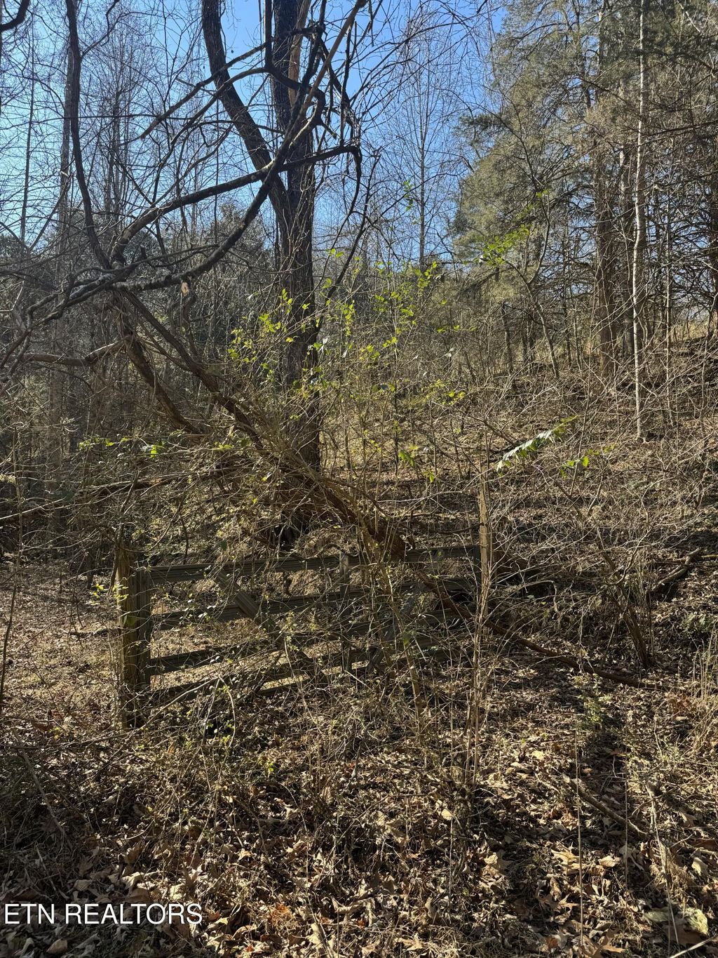 Photo of Molly Hollow Rd, New Tazewell, TN 37825 (MLS # 1327380)