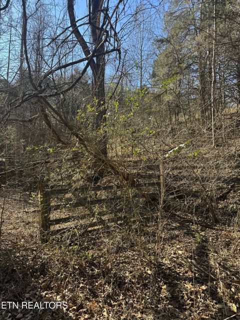Photo of Molly Hollow Rd, New Tazewell, TN 37825 (MLS # 1327380)