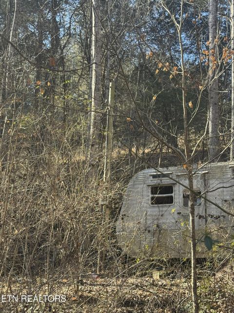 Tiny photo for Molly Hollow Rd, New Tazewell, TN 37825 (MLS # 1327380)