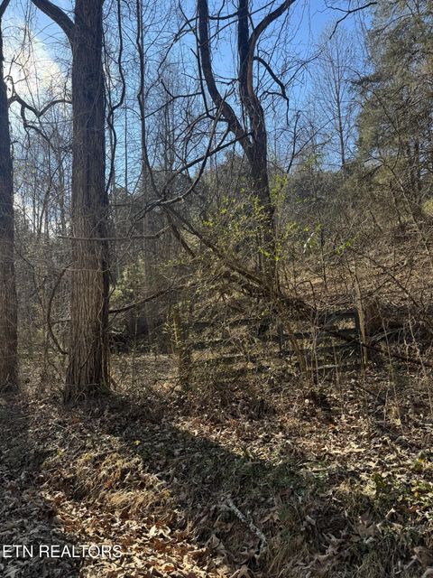 Tiny photo for Molly Hollow Rd, New Tazewell, TN 37825 (MLS # 1327380)