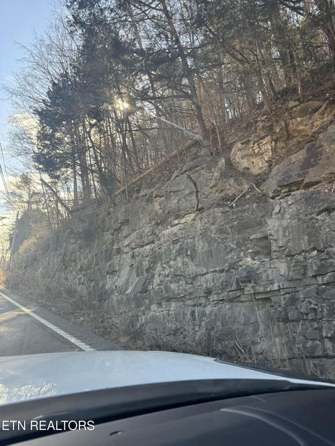 Tiny photo for Molly Hollow Rd, New Tazewell, TN 37825 (MLS # 1327380)