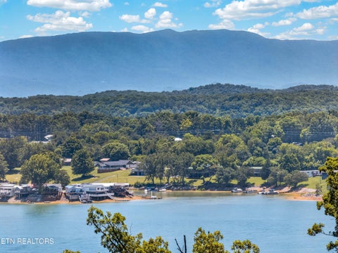 Tiny photo for 630 Waterwood Court, White Pine, TN 37890 (MLS # 1346935)