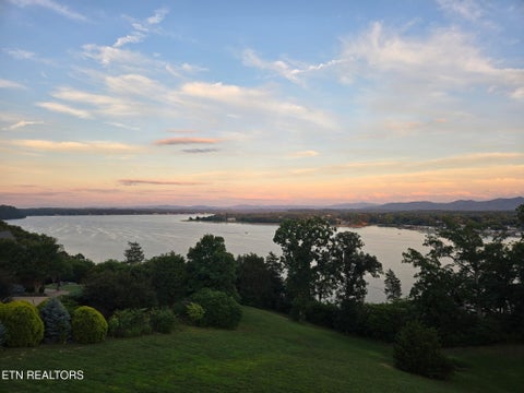 Tiny photo for 630 Waterwood Court, White Pine, TN 37890 (MLS # 1346935)