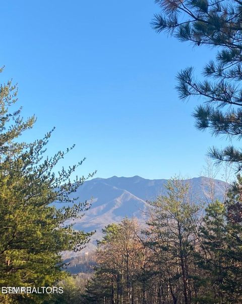 Tiny photo for Lightning Bug Way #D 7, Gatlinburg, TN 37738 (MLS # 1337704)