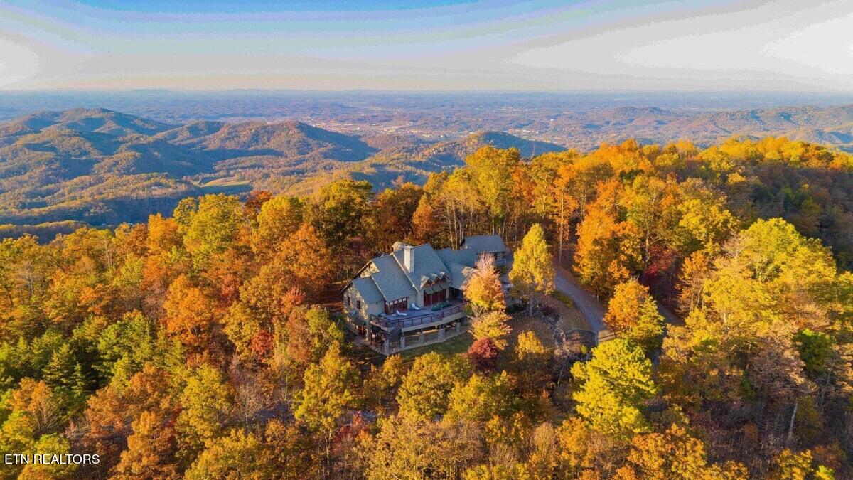 Lightning Bug Way D 7