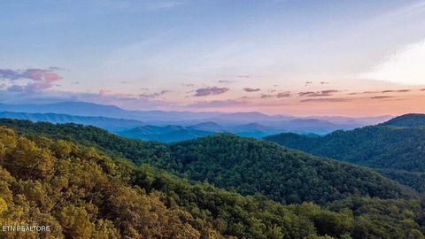 Tiny photo for Lightning Bug Way #D 7, Gatlinburg, TN 37738 (MLS # 1337704)