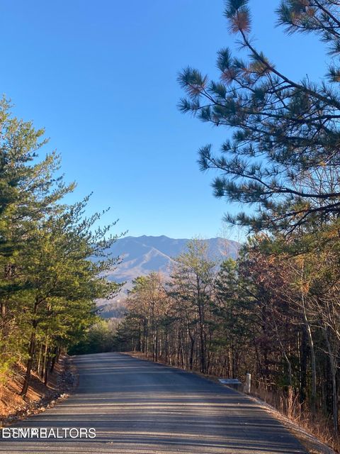 Tiny photo for Lightning Bug Way #D 7, Gatlinburg, TN 37738 (MLS # 1337704)