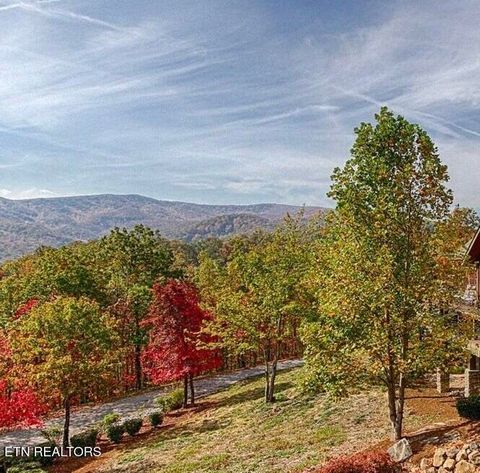 Tiny photo for Lightning Bug Way #D 7, Gatlinburg, TN 37738 (MLS # 1337704)