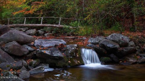 Tiny photo for Lightning Bug Way #D 7, Gatlinburg, TN 37738 (MLS # 1337704)