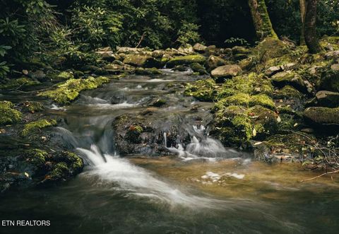 Tiny photo for Lightning Bug Way #D 7, Gatlinburg, TN 37738 (MLS # 1337704)