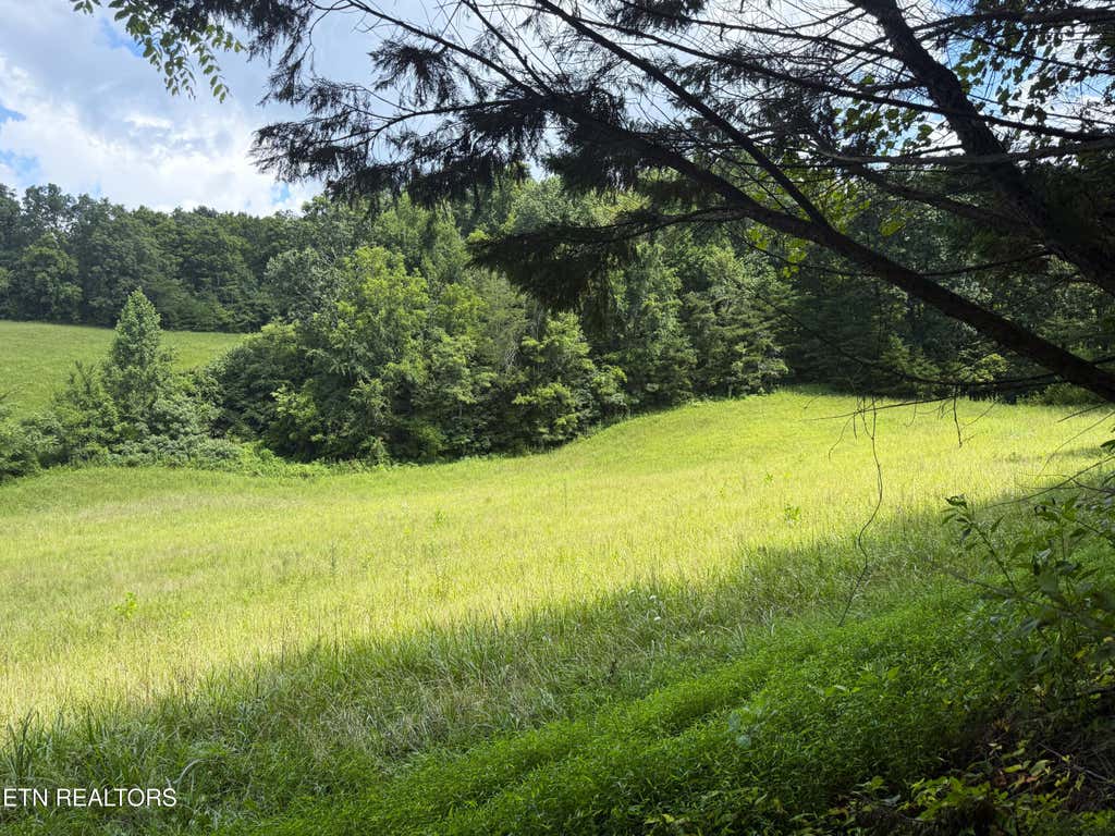 Photo of 1461 Ponderosa Rd, Parrottsville, TN 37843 (MLS # 1310311)