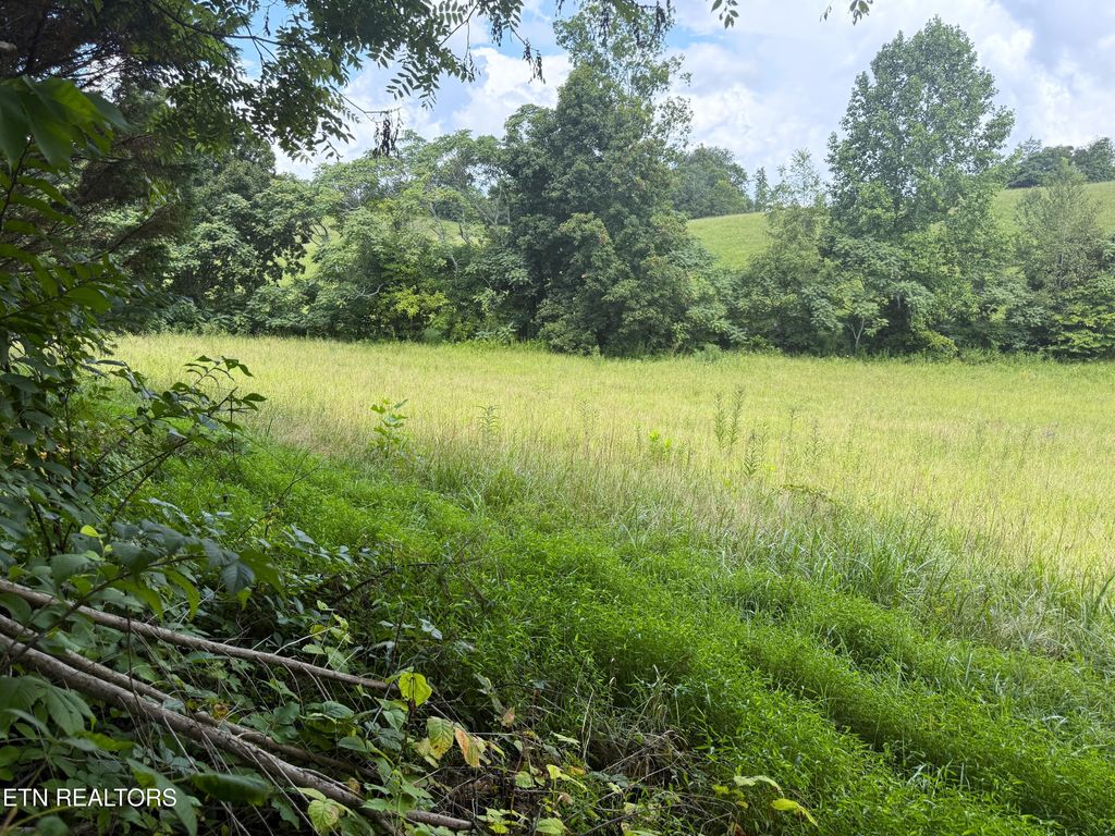Photo of 1461 Ponderosa Rd, Parrottsville, TN 37843 (MLS # 1310311)
