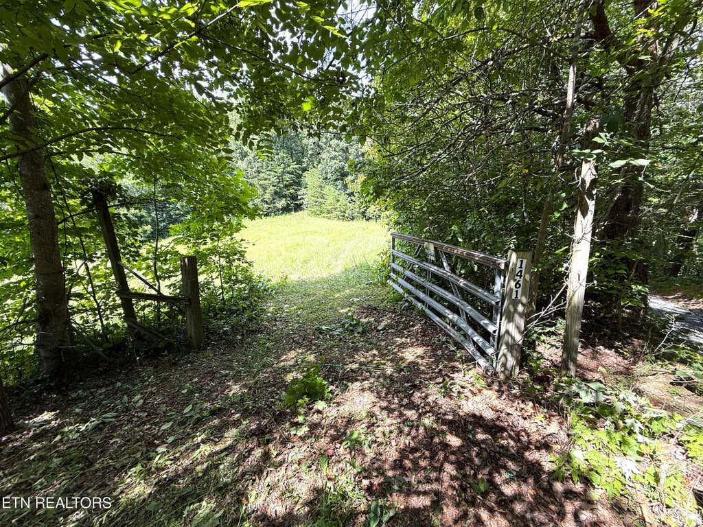 Photo of 1461 Ponderosa Rd, Parrottsville, TN 37843 (MLS # 1310311)