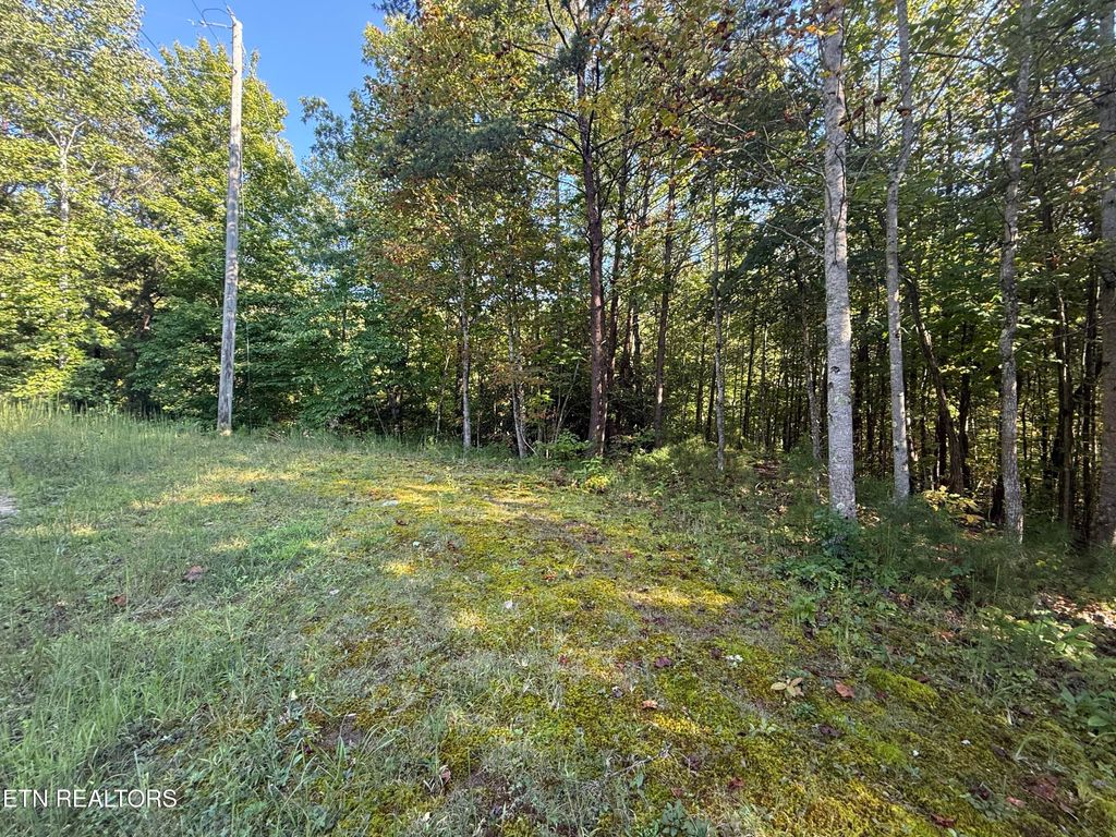 Photo of Covemont Rd, Sevierville, TN 37862 (MLS # 1319856)