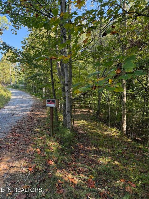 Photo of Covemont Rd, Sevierville, TN 37862 (MLS # 1319856)