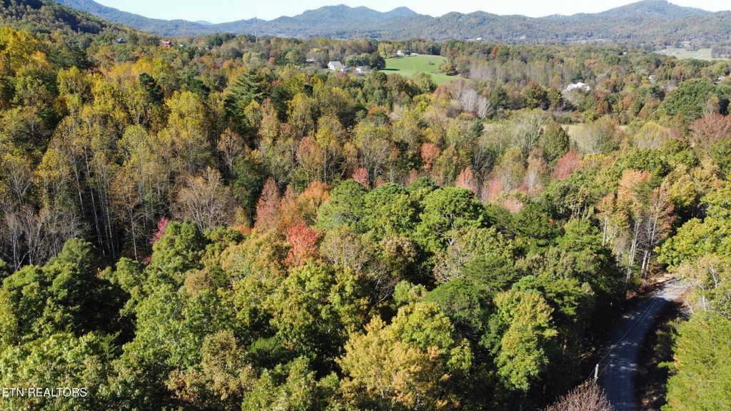 Photo of Covemont Rd, Sevierville, TN 37862 (MLS # 1319856)
