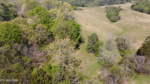 Mans Hollow Rd Kingston TN 37763