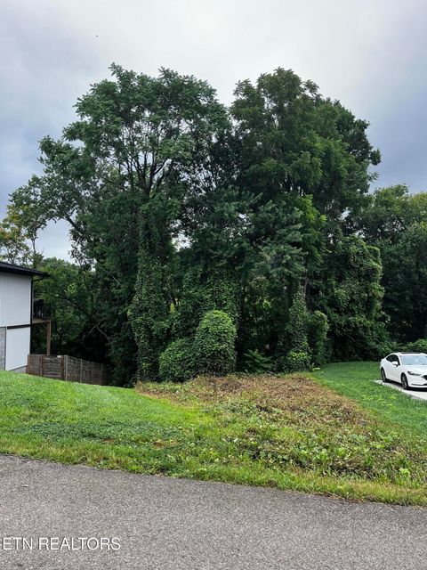 Photo of 103 Henry Ave, Knoxville, TN 37920 (MLS # 1349268)