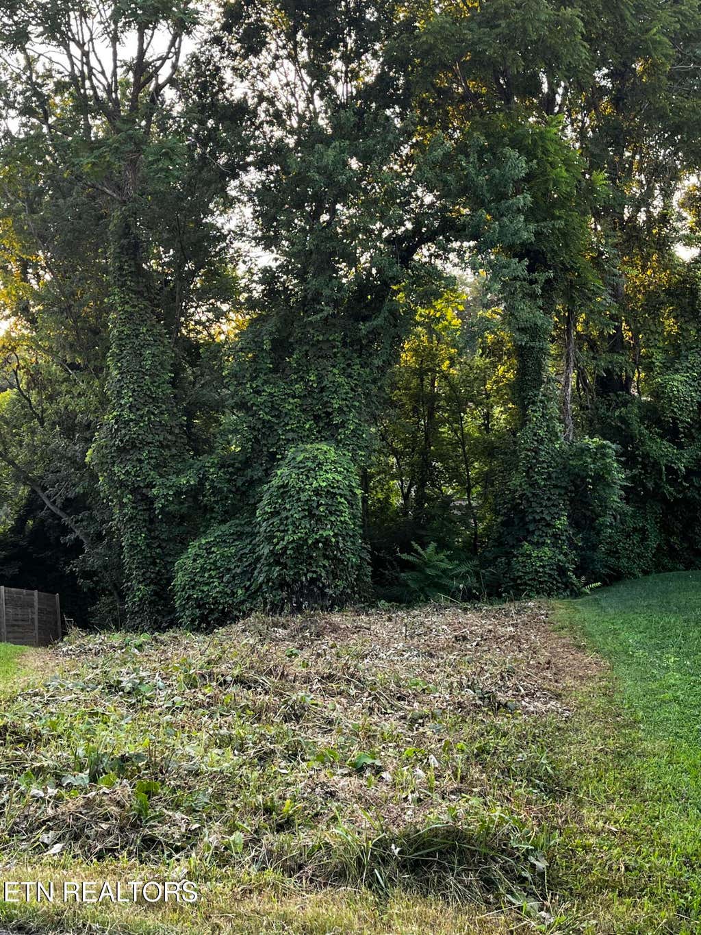 Photo of 103 Henry Ave, Knoxville, TN 37920 (MLS # 1349268)