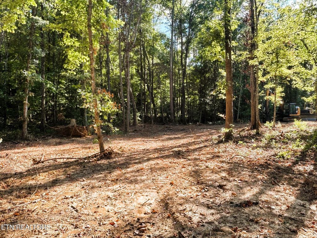 Photo of 4 Pleasant Hill Road, Ten Mile, TN 37880 (MLS # 1310722)