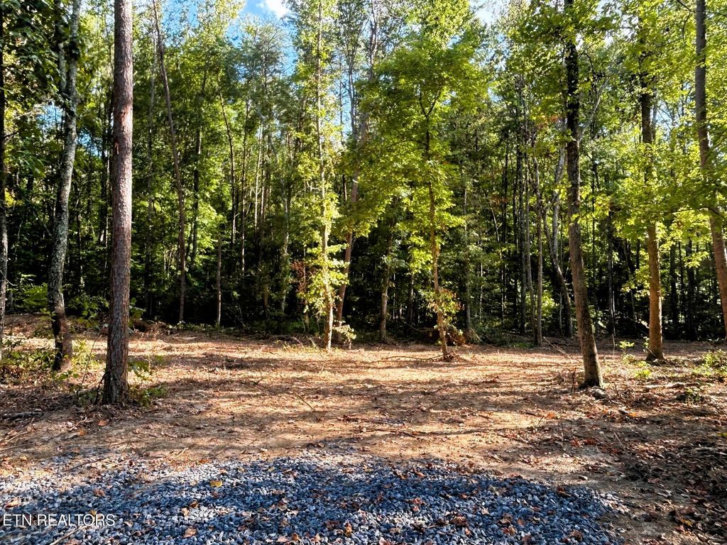 Photo of 4 Pleasant Hill Road, Ten Mile, TN 37880 (MLS # 1310722)