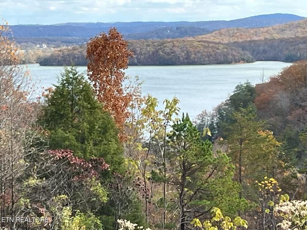 Photo of 406 Flint Ridge Rd, Rockwood, TN 37854 (MLS # 1293731)