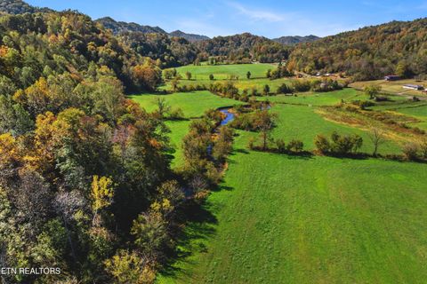 Tiny photo for 1435 TN-33, Tazewell, TN 37879 (MLS # 1328301)