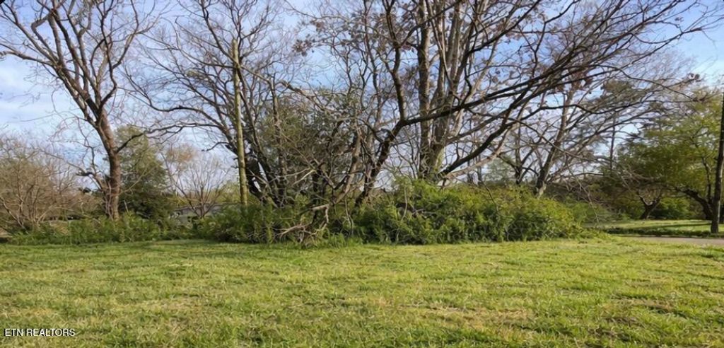 Photo of 1100 Sunrose Rd, Knoxville, TN 37914 (MLS # 1336398)