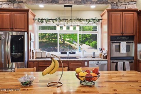 Tiny photo for 334 Alpha Rd, Newport, TN 37821 (MLS # 1337924)