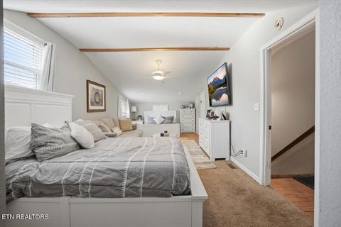 Tiny photo for 334 Alpha Rd, Newport, TN 37821 (MLS # 1337924)