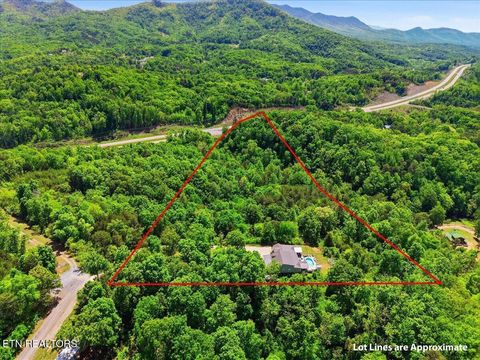 Tiny photo for 334 Alpha Rd, Newport, TN 37821 (MLS # 1337924)