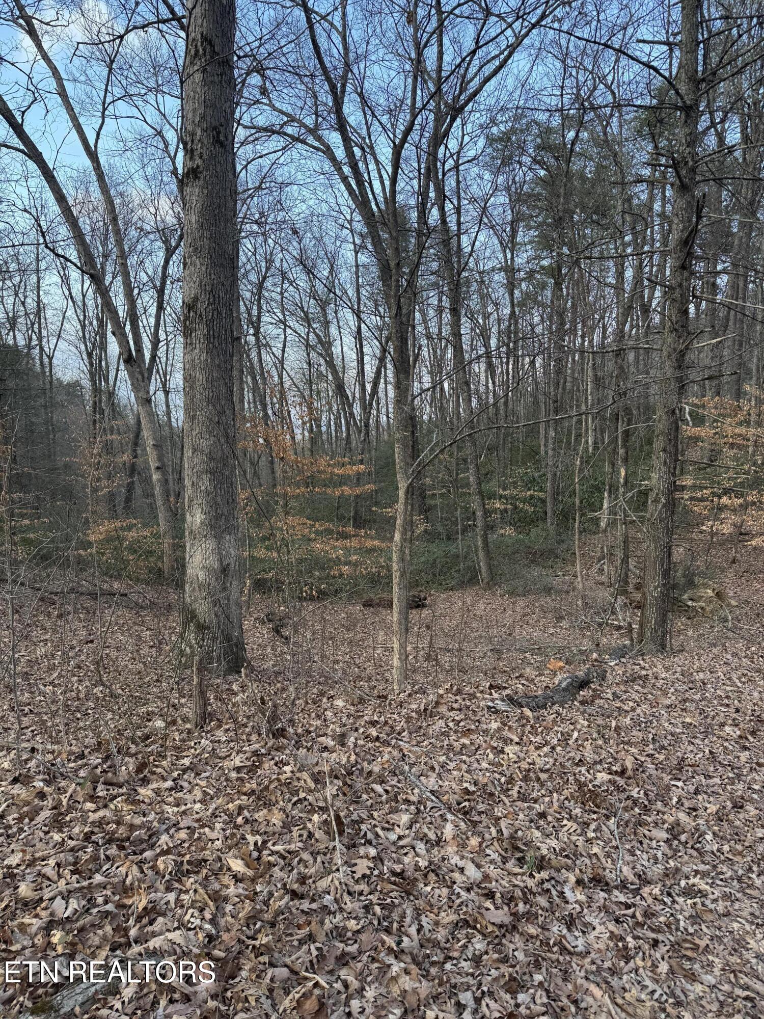 Goose Creek Lot #1 Rd
