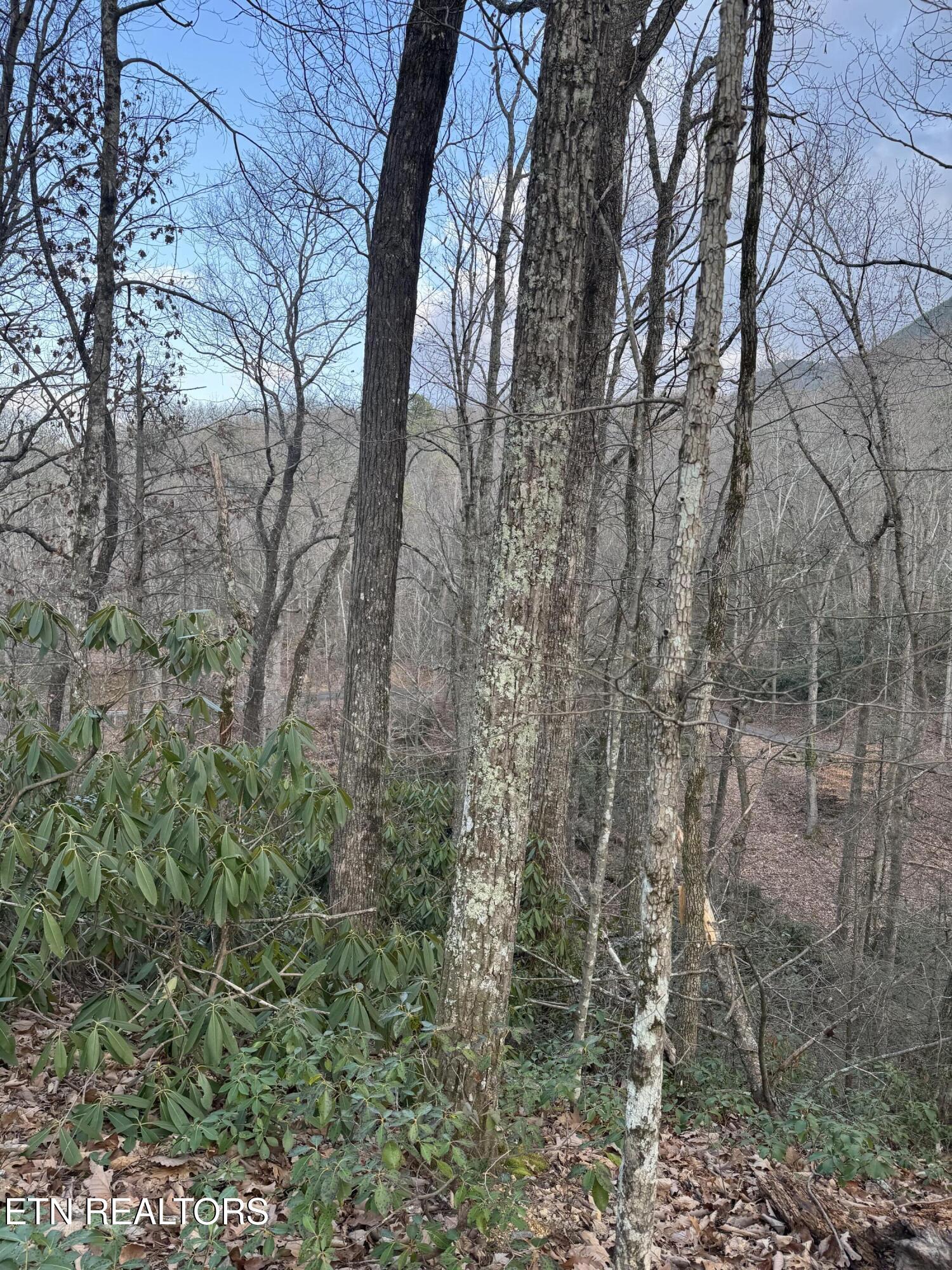 Goose Creek Lot #1 Rd