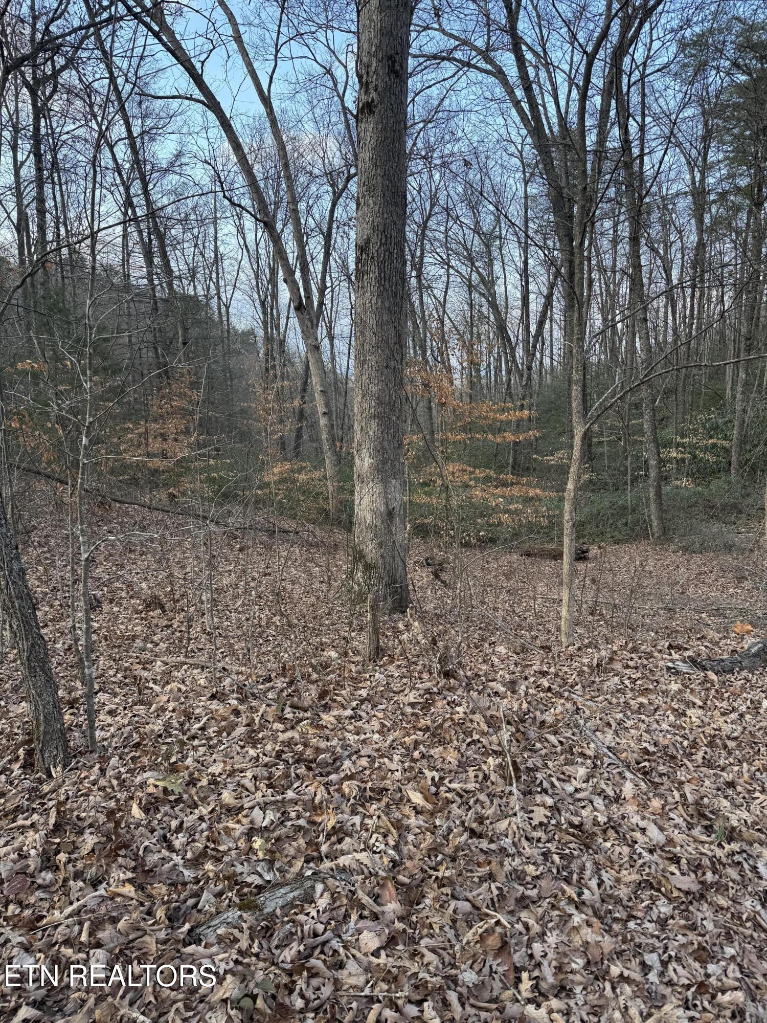 Goose Creek Lot #1 Rd