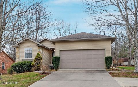 Photo of 178 Snead Drive, Crossville, TN 38558 (MLS # 1325993)