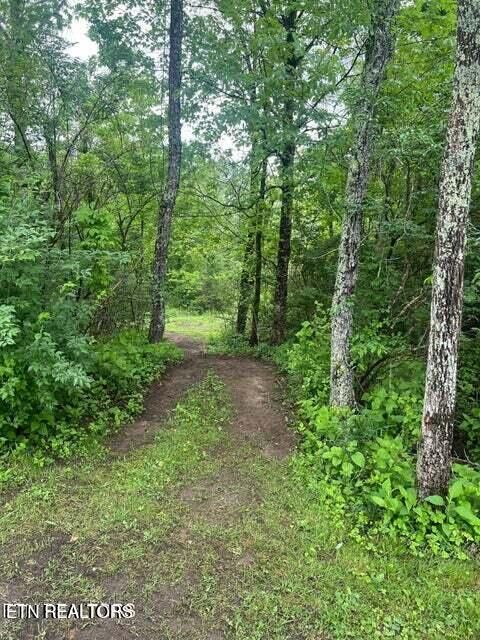 Tiny photo for 798 Lawson Rd, Crossville, TN 38571 (MLS # 1335543)