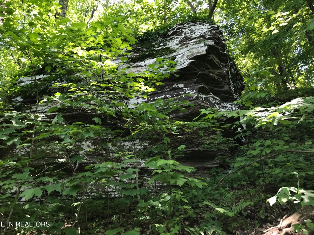 Photo of Happy Top Rd, Crossville, TN 38555 (MLS # 1359030)