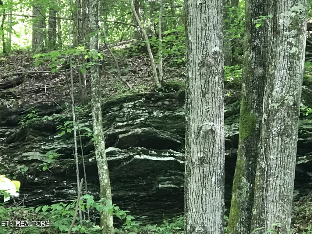 Photo of Happy Top Rd, Crossville, TN 38555 (MLS # 1359030)