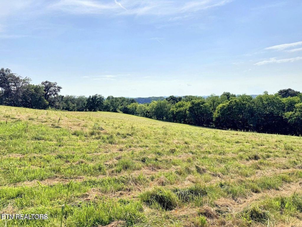 Photo of 1 Stone Lane, Maryville, TN 37801 (MLS # 1336359)