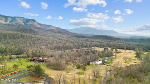 Tiny photo for 429 Deer Path Lane #106, Gatlinburg, TN 37738 (MLS # 1335469)