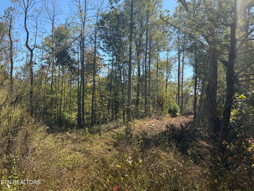 Photo of 2697 Mt Helen Rd, Allardt, TN 38504 (MLS # 1358788)