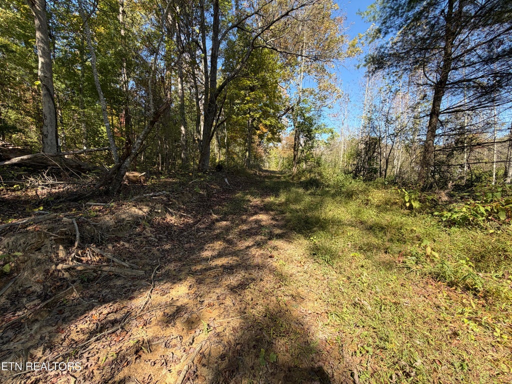 Photo of 2697 Mt Helen Rd, Allardt, TN 38504 (MLS # 1358788)