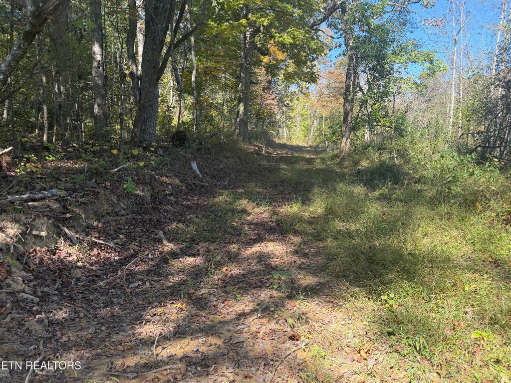 Photo of 2697 Mt Helen Rd, Allardt, TN 38504 (MLS # 1358788)